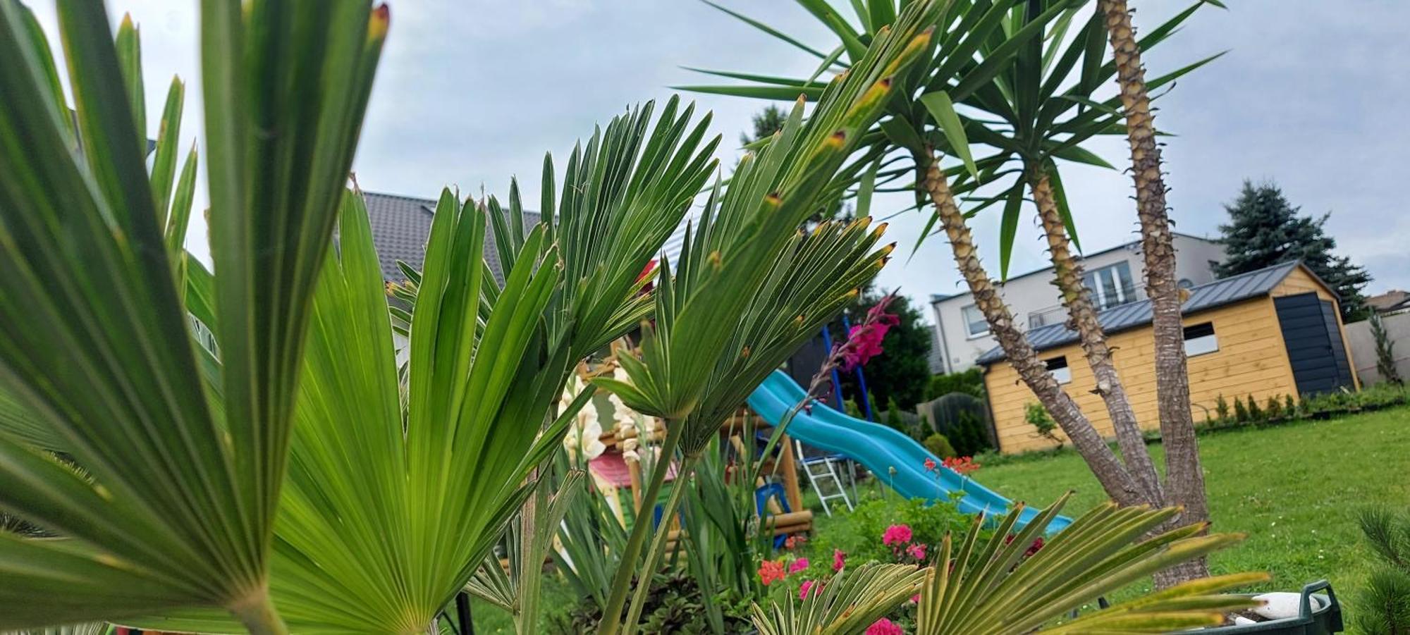 Pokoje Goscinne Jutrzenka Swarzewo Dış mekan fotoğraf
